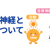 自律神経と目