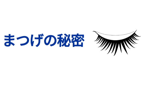 まつげの秘密—その役割と美容の影響
