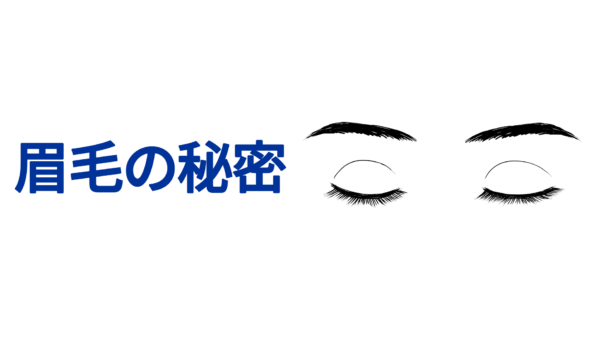 眉毛の秘密—その役割と進化の謎