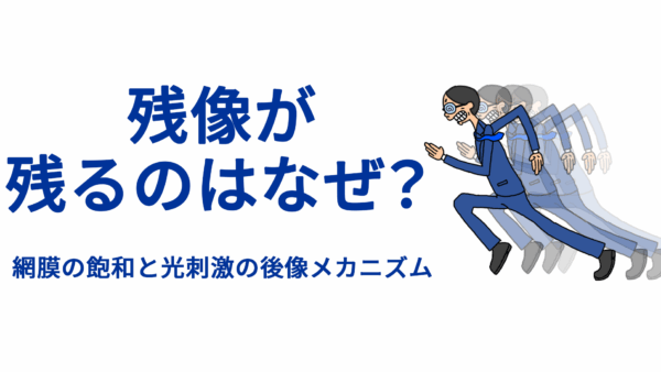残像が残るのはなぜ？――網膜の飽和と光刺激の後像メカニズム